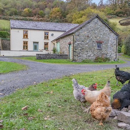 Pwll Farmhouse Llanllawdog Bagian luar foto