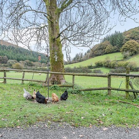 Pwll Farmhouse Llanllawdog Bagian luar foto