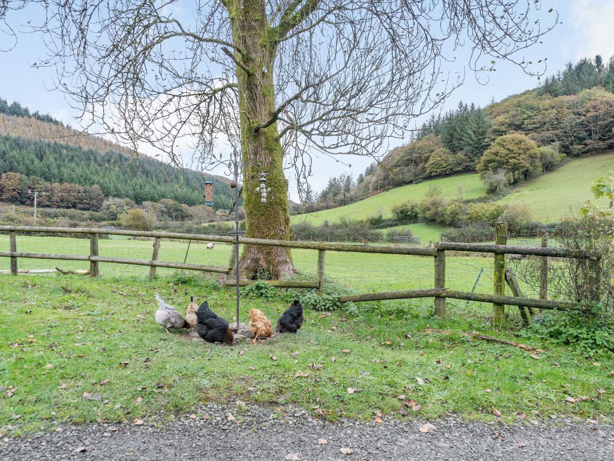 Pwll Farmhouse Llanllawdog Bagian luar foto