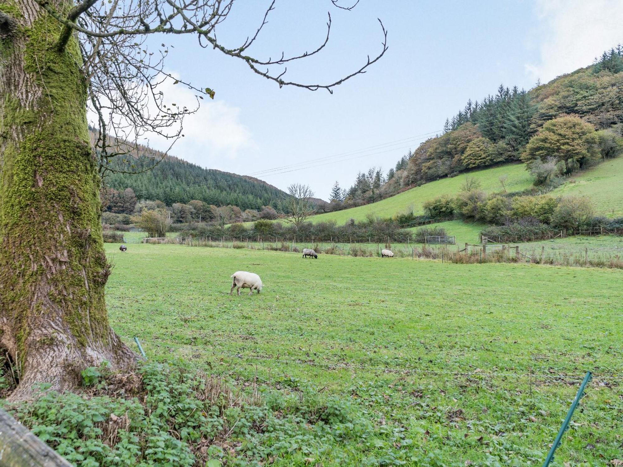 Pwll Farmhouse Llanllawdog Bagian luar foto